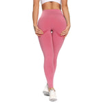 Women's / Seamless Yoga Pant / Leggings