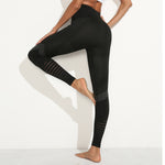 Women's / Seamless Yoga Pant / Leggings