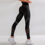 Women's / Seamless Yoga Pant / Leggings