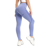 Women's / Seamless Yoga Pant / Leggings