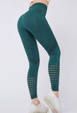 Women's / Seamless Yoga Pant / Leggings