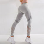 Women's / Seamless Yoga Pant / Leggings