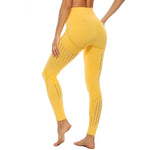 Women's / Seamless Yoga Pant / Leggings