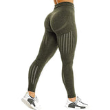 Women's / Seamless Yoga Pant / Leggings