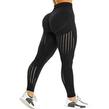 Women's / Seamless Yoga Pant / Leggings