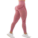 Women's / Seamless Yoga Pant / Leggings