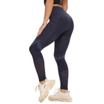 Women's / Seamless Yoga Pant / Leggings